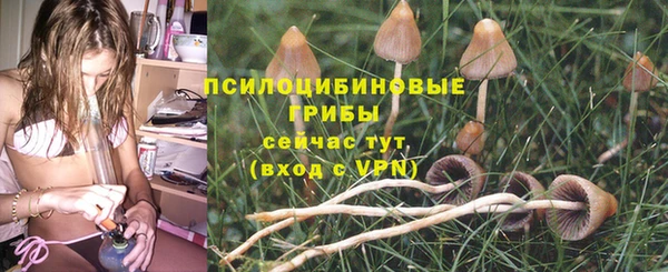 соль курить ск Богородск