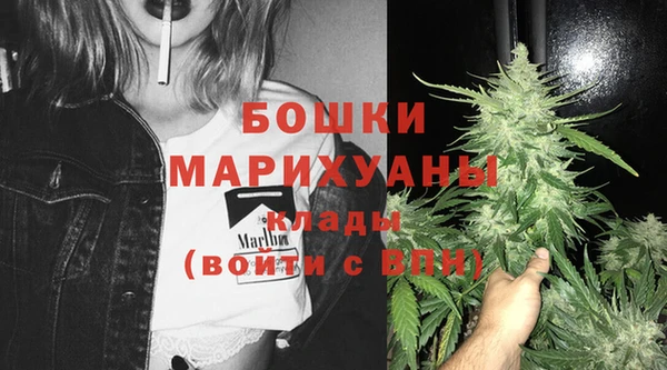 ALPHA PVP Богородицк