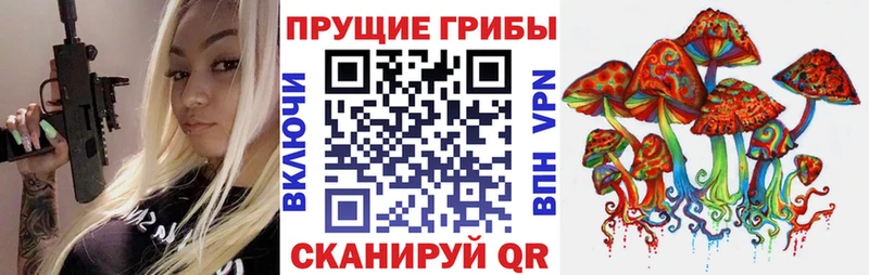 купить закладку  Ворсма  Галлюциногенные грибы мицелий 